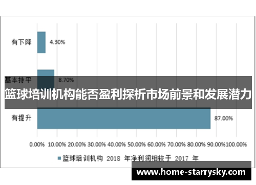 篮球培训机构能否盈利探析市场前景和发展潜力